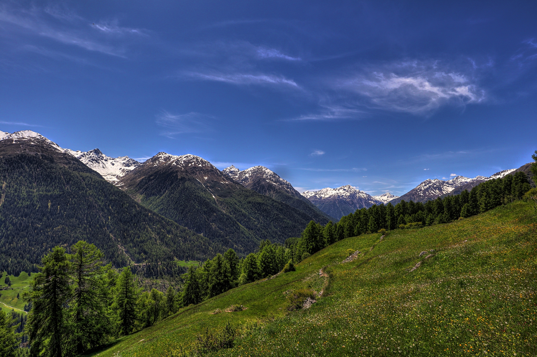 IMG_5230-hdr.jpg