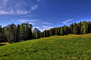 IMG_5170-hdr.jpg