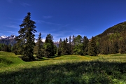 IMG_5173-hdr.jpg