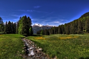 IMG_5176-hdr.jpg