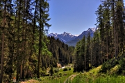 IMG_5185-hdr.jpg