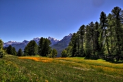 IMG_5188-hdr.jpg