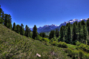 IMG_5200-hdr.jpg