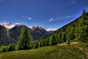 IMG_5257-hdr.jpg