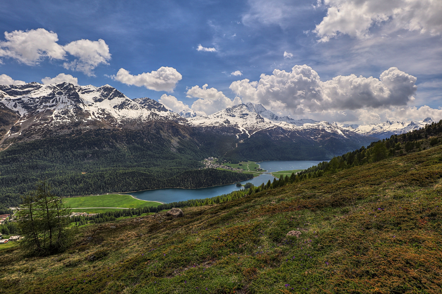 IMG_5332-hdr.jpg