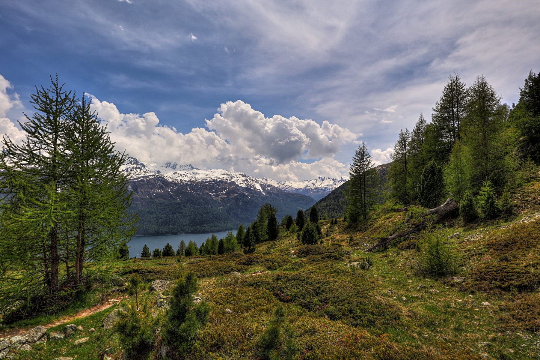 IMG_5353-hdr.jpg