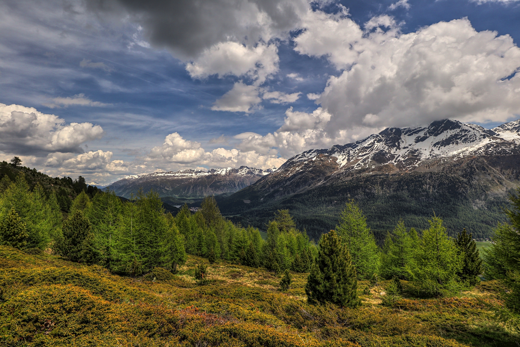 IMG_5356-hdr.jpg