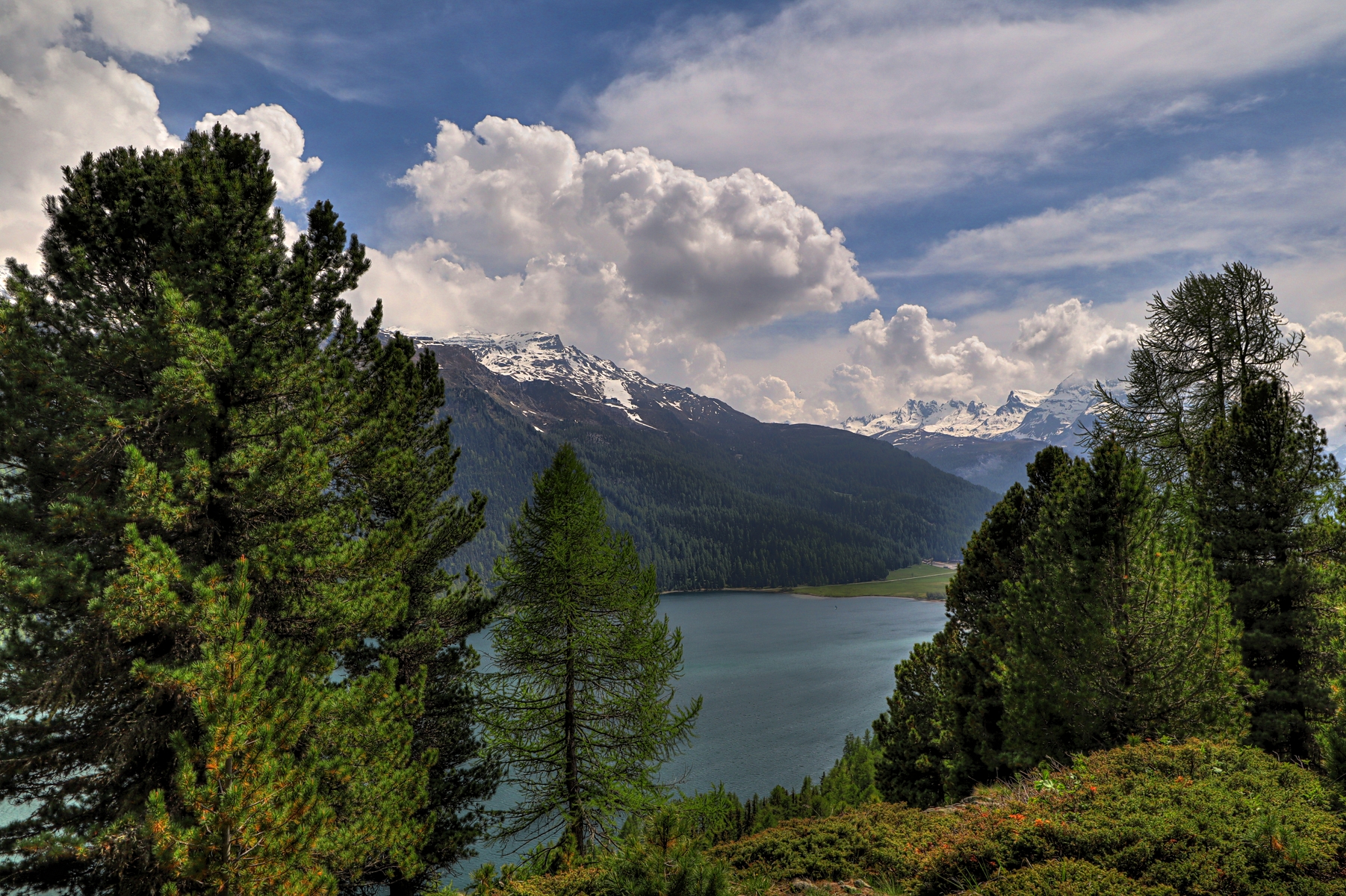 IMG_5362-hdr.jpg