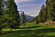 IMG_5266-hdr.jpg
