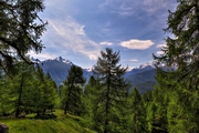 IMG_5272-hdr.jpg