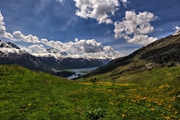 IMG_5317-hdr.jpg