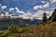 IMG_5329-hdr.jpg