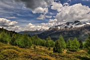 IMG_5356-hdr.jpg