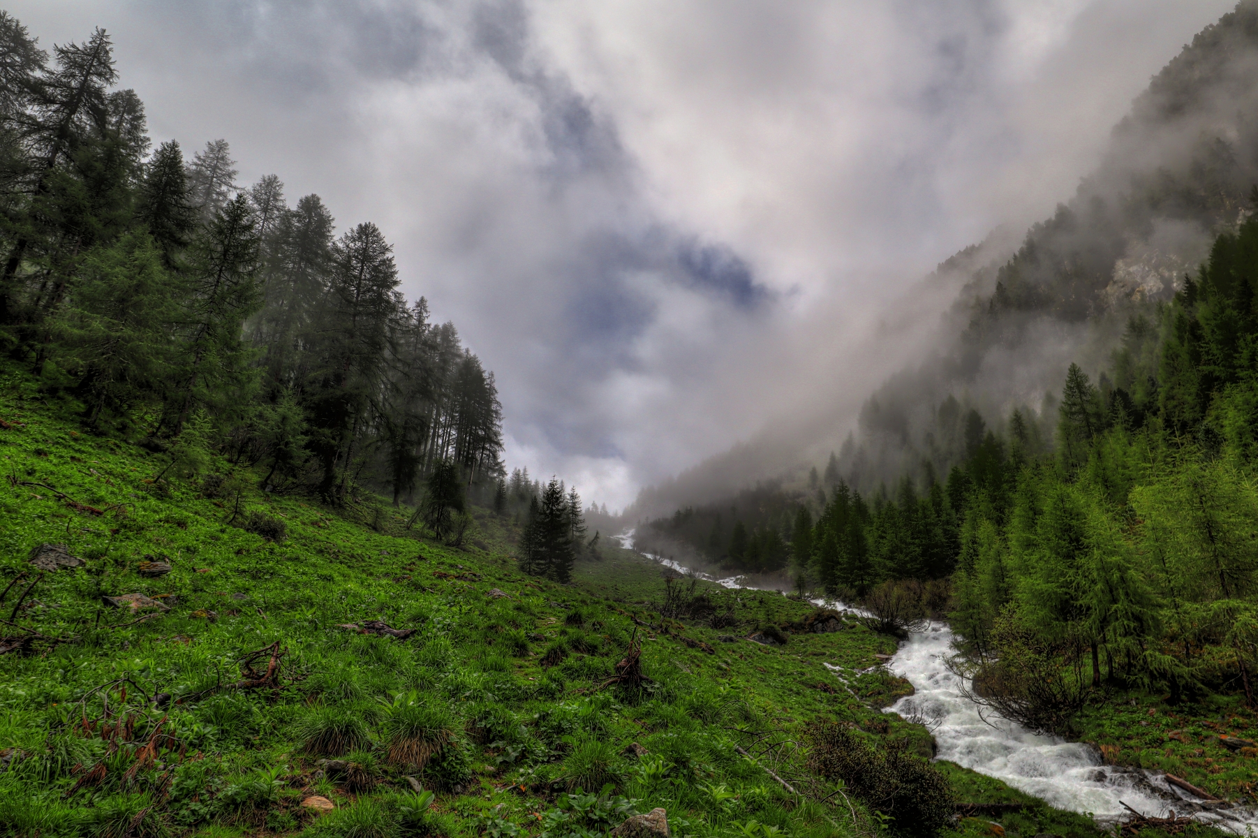 IMG_5395-hdr.jpg