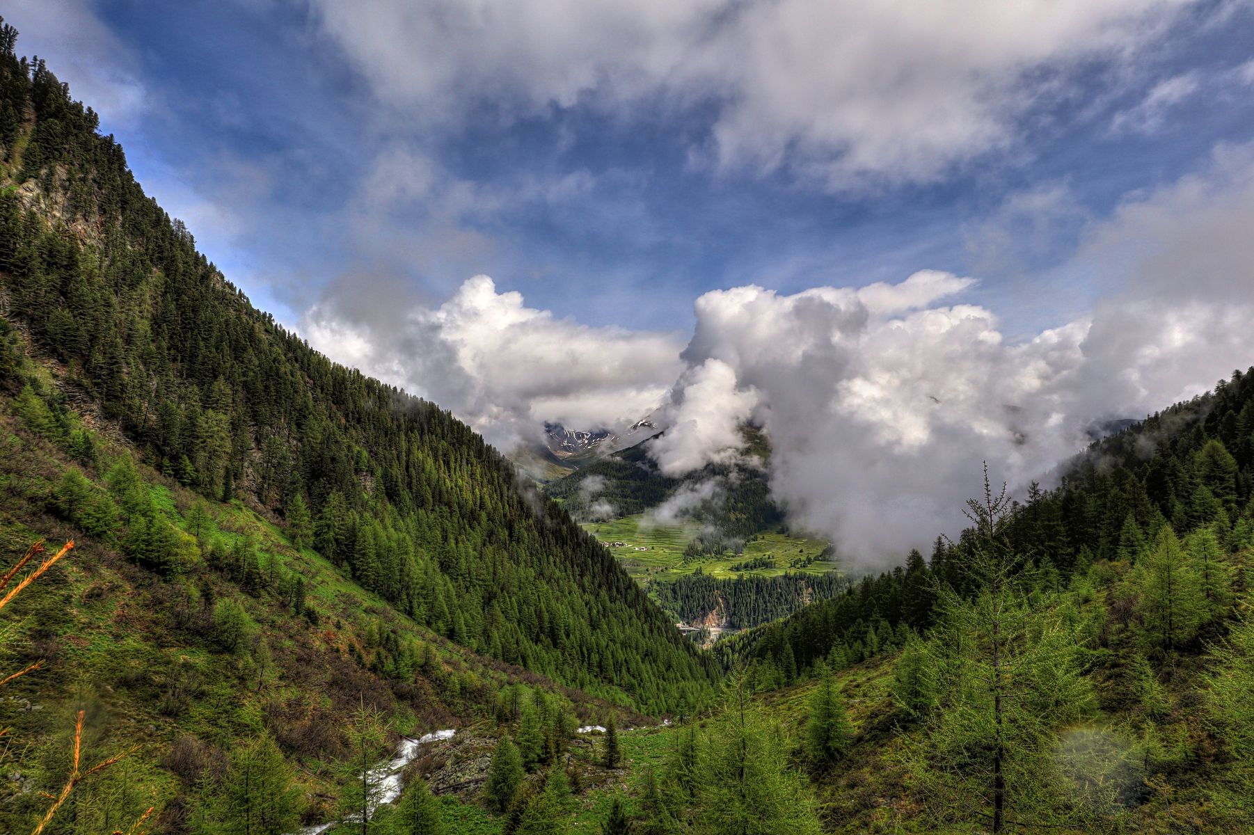 IMG_5404-hdr.jpg