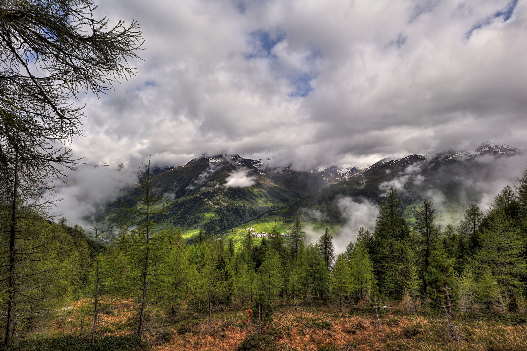 IMG_5419-hdr.jpg