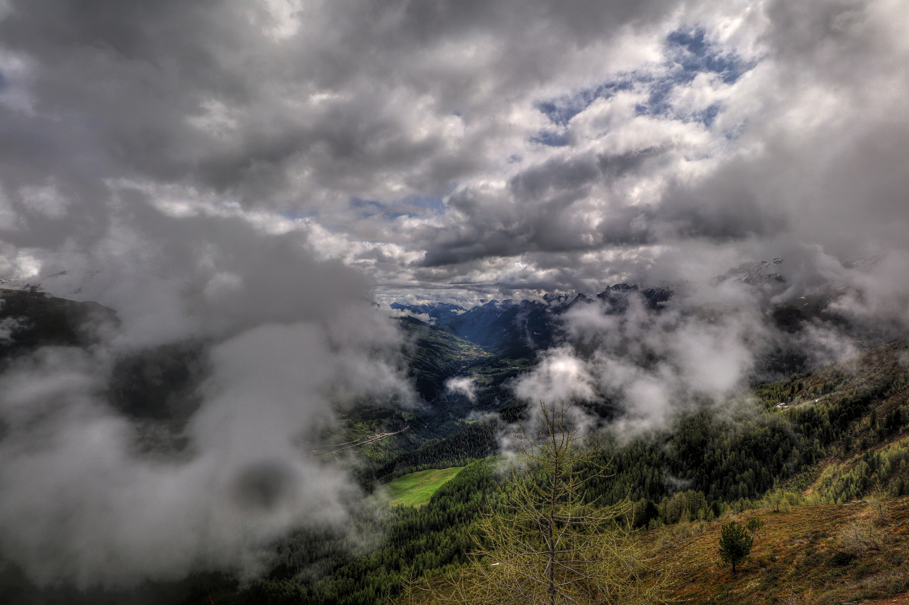 IMG_5428-hdr.jpg