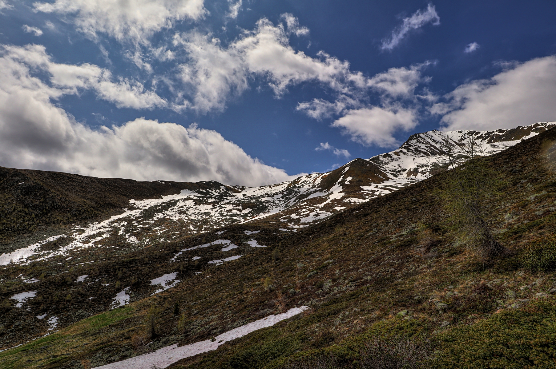 IMG_5494-hdr.jpg
