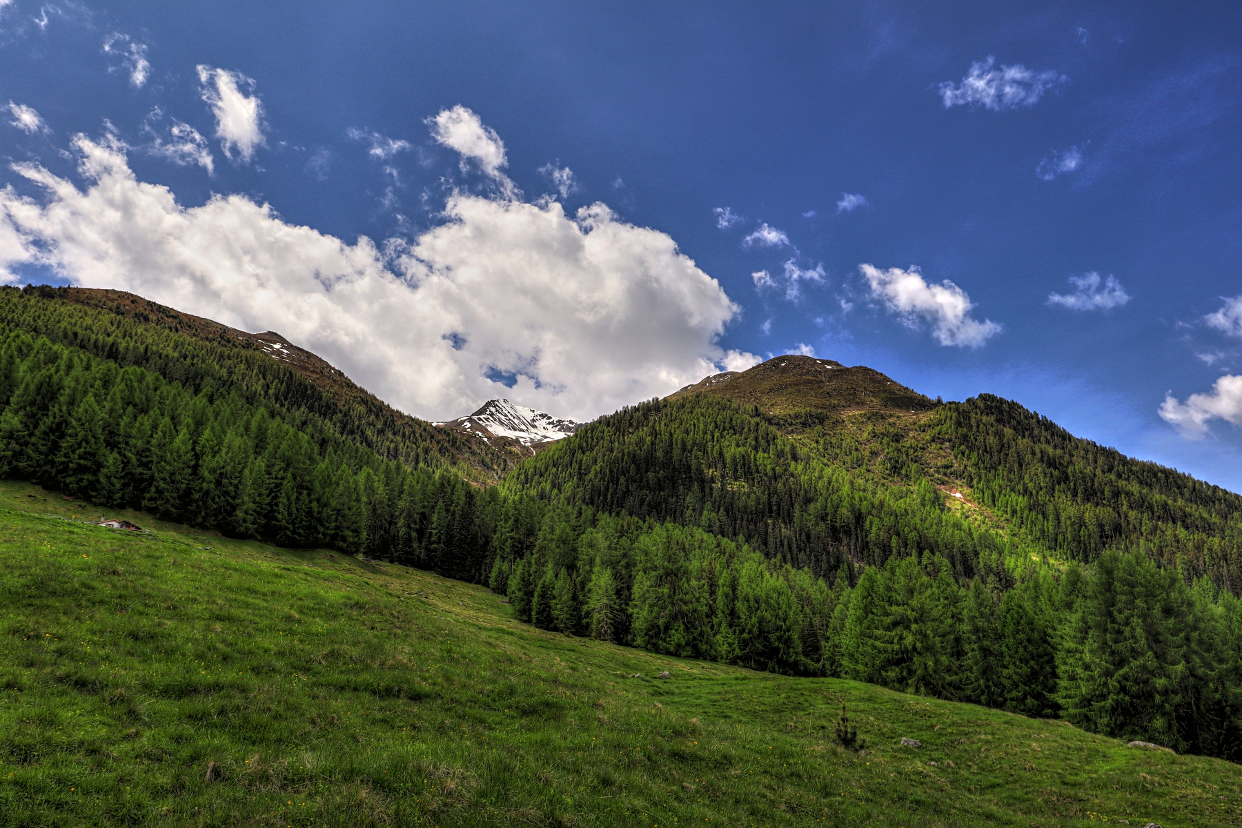 IMG_5512-hdr.jpg