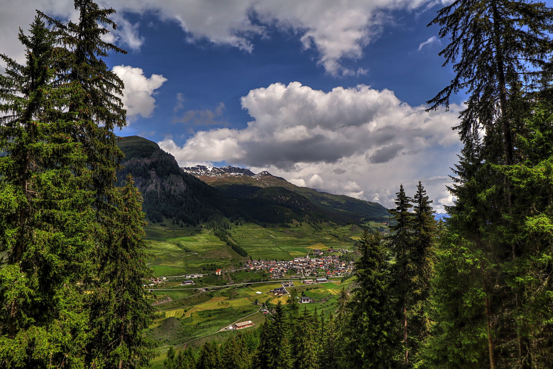 IMG_5515-hdr.jpg
