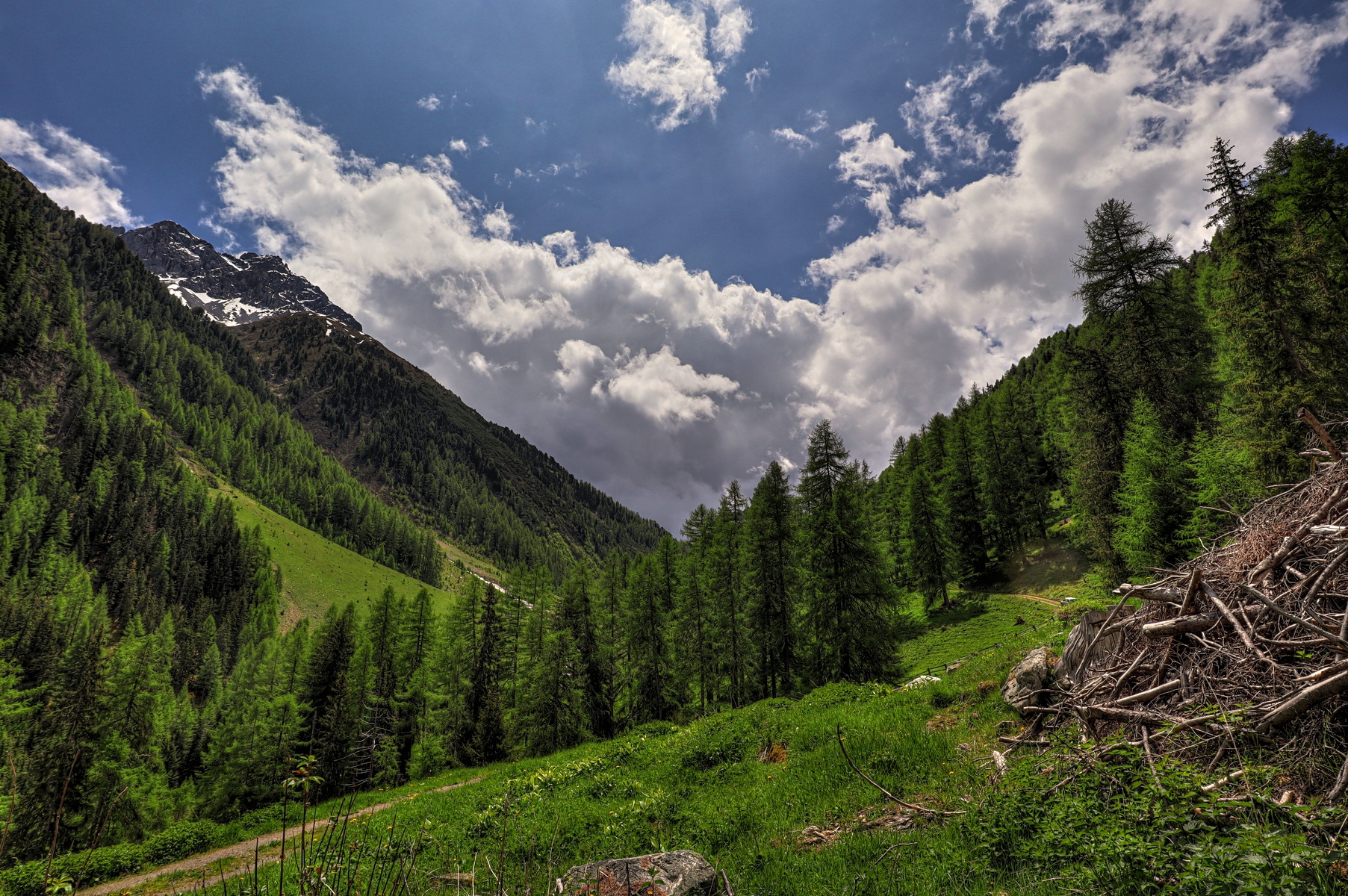 IMG_5530-hdr.jpg