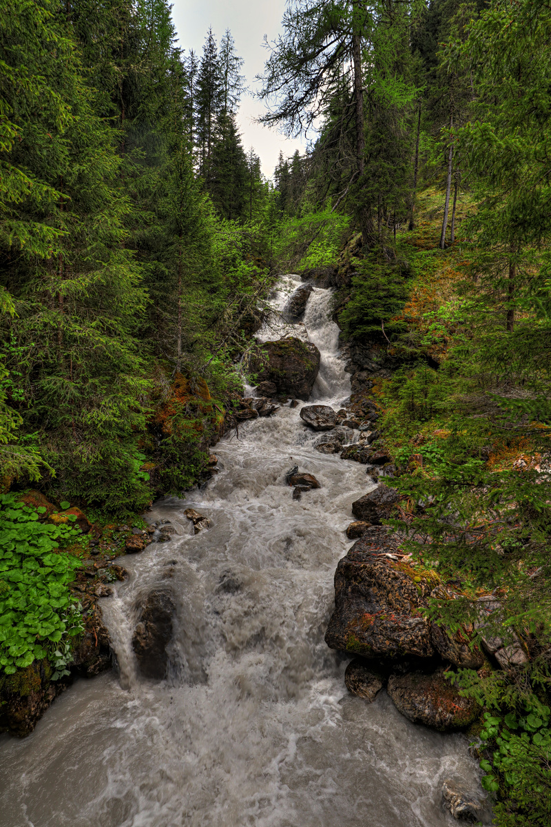 IMG_5539-hdr.jpg