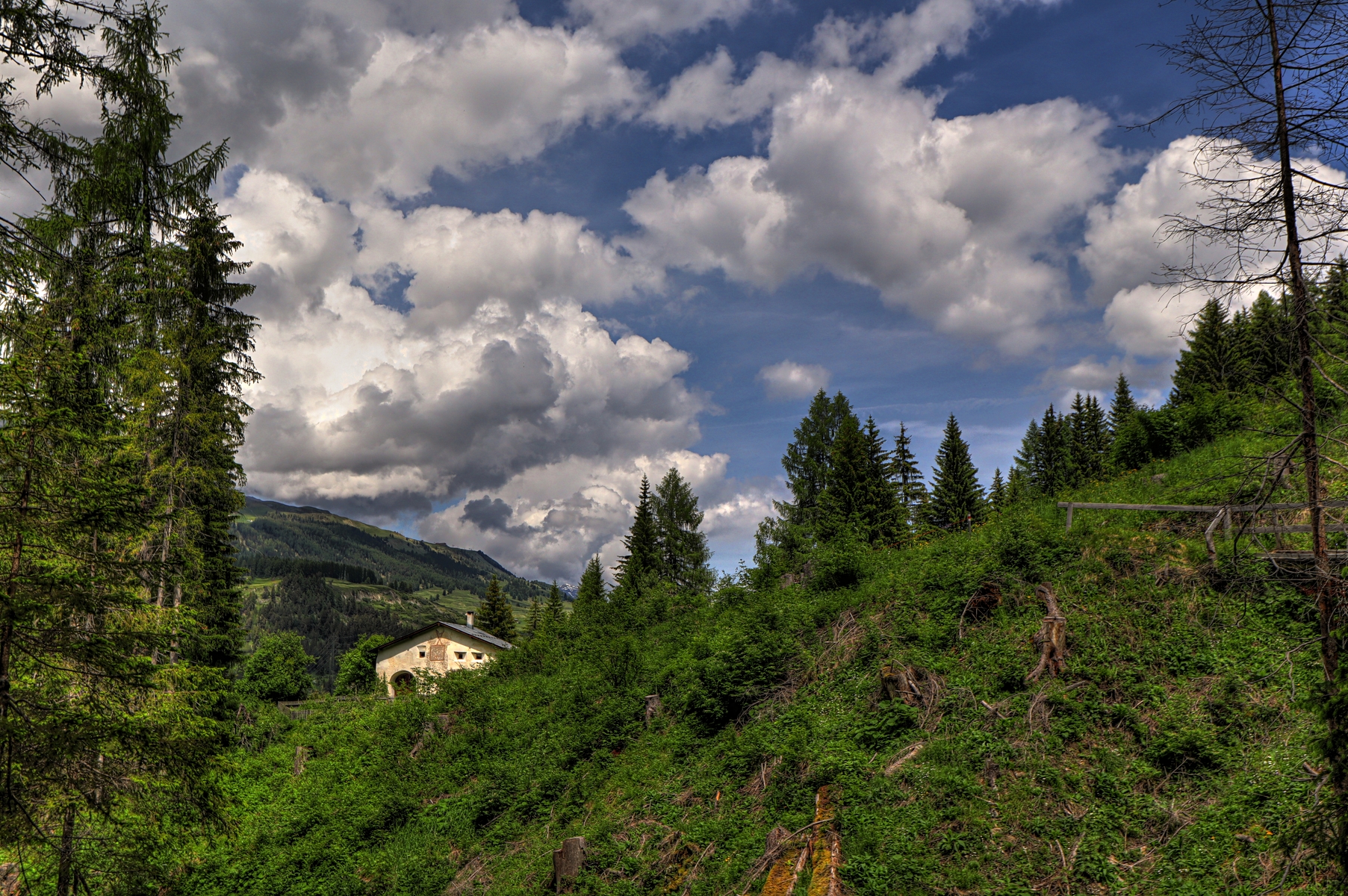 IMG_5545-hdr.jpg