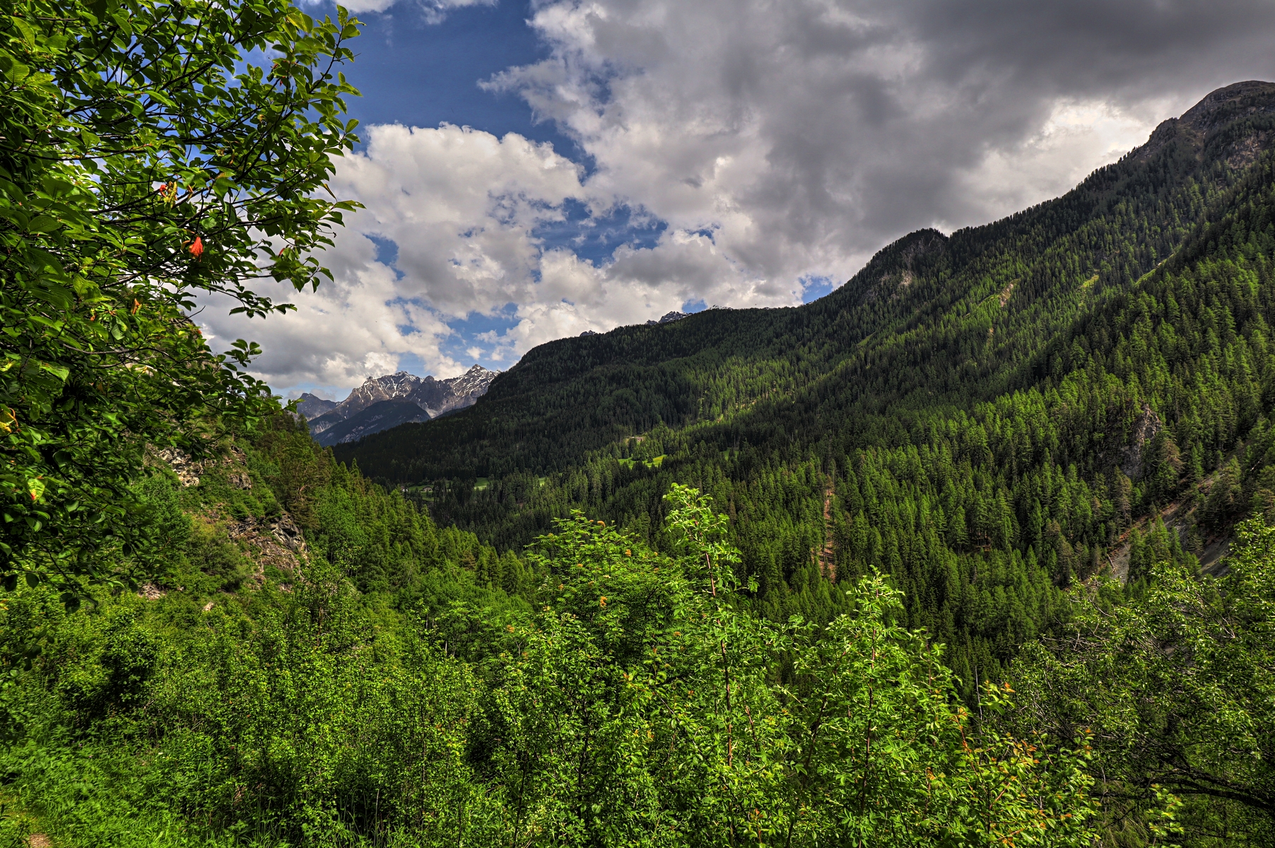 IMG_5563-hdr.jpg