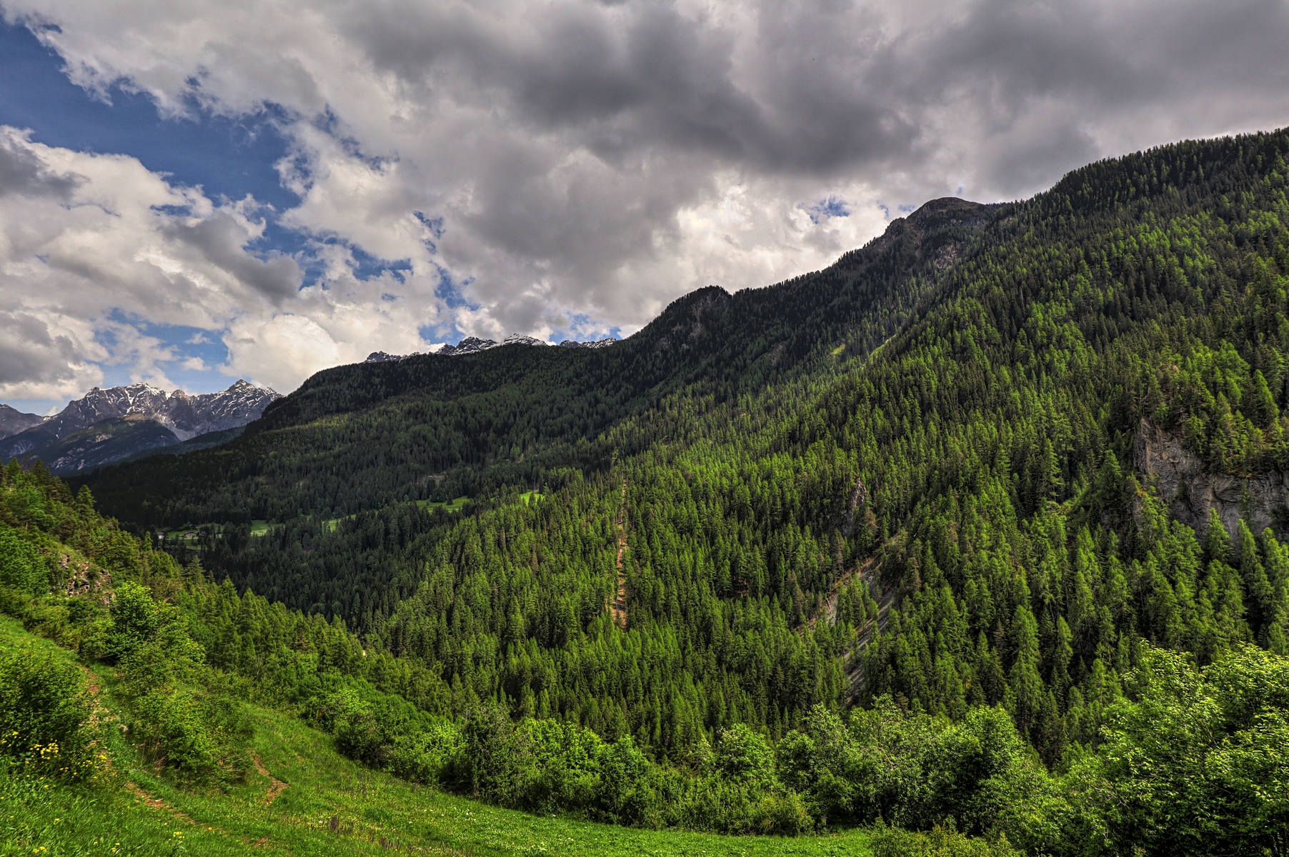 IMG_5569-hdr.jpg