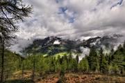 IMG_5419-hdr.jpg