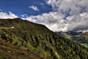IMG_5500-hdr.jpg
