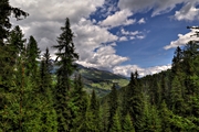 IMG_5524-hdr.jpg
