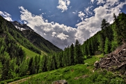 IMG_5530-hdr.jpg