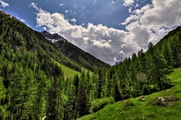 IMG_5533-hdr.jpg