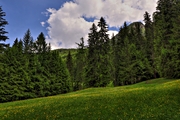 IMG_5548-hdr.jpg