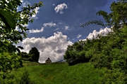 IMG_5572-hdr.jpg