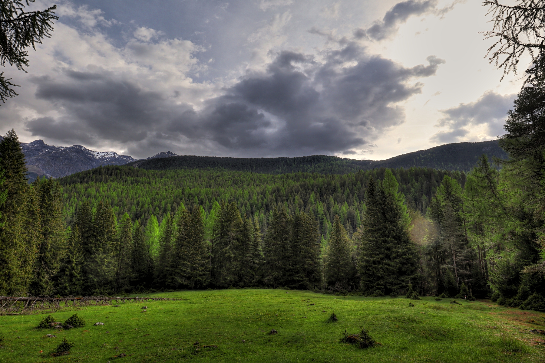 IMG_5587-hdr.jpg