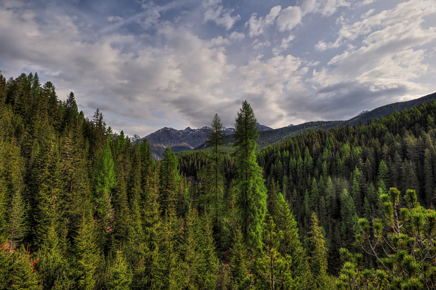 IMG_5602-hdr.jpg