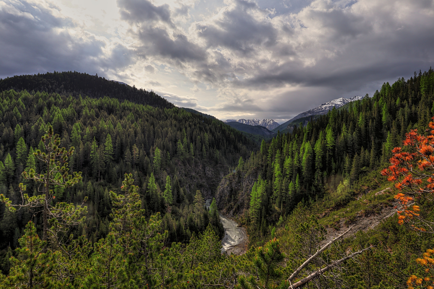IMG_5611-hdr.jpg