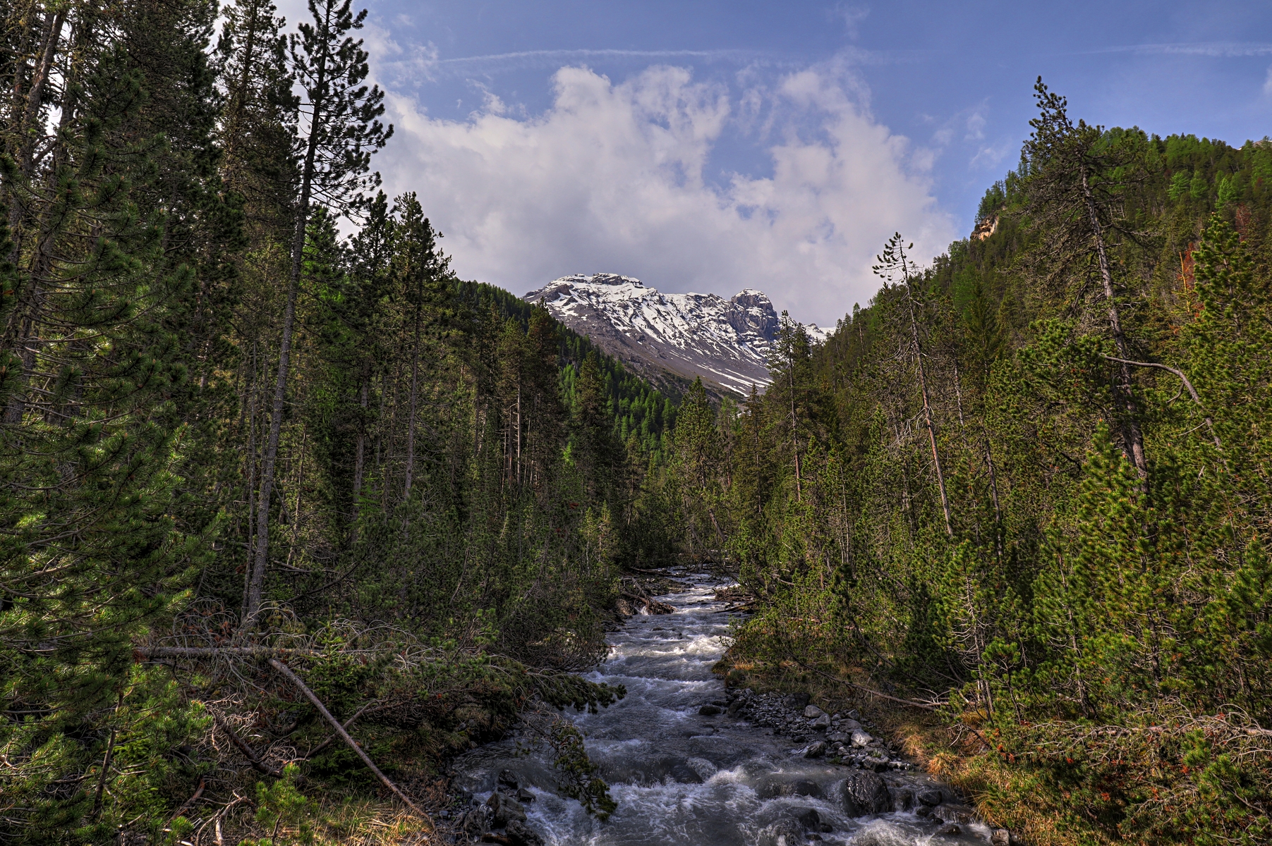 IMG_5638-hdr.jpg