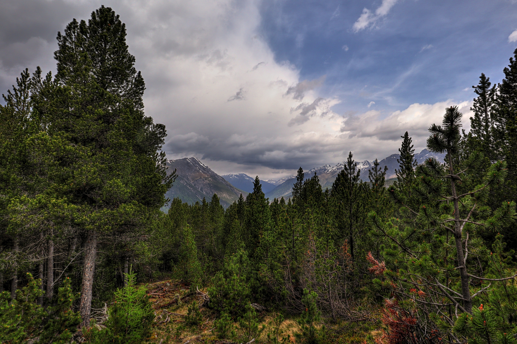 IMG_5676-hdr.jpg