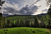 IMG_5587-hdr.jpg
