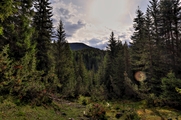 IMG_5596-hdr.jpg