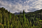 IMG_5602-hdr.jpg