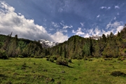 IMG_5629-hdr.jpg
