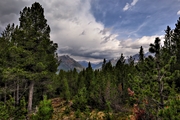 IMG_5676-hdr.jpg