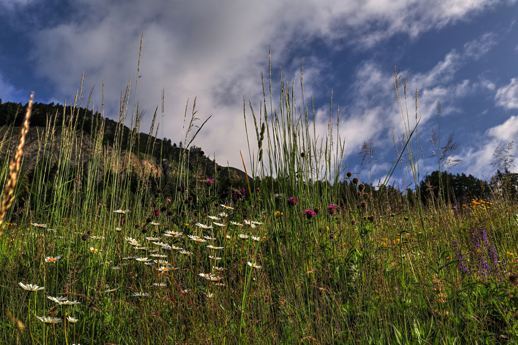 IMG_5685-hdr.jpg