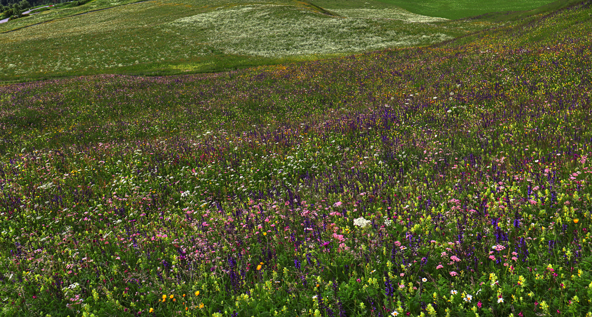 IMG_5694-hdr.jpg