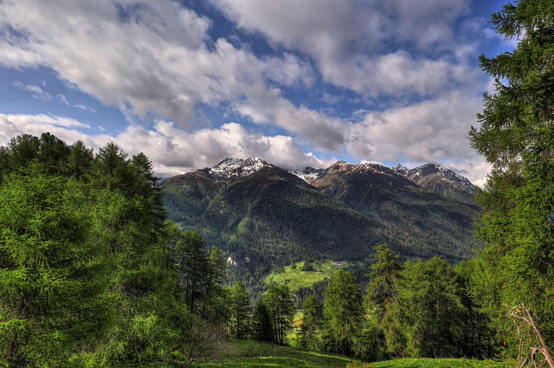 IMG_5712-hdr.jpg