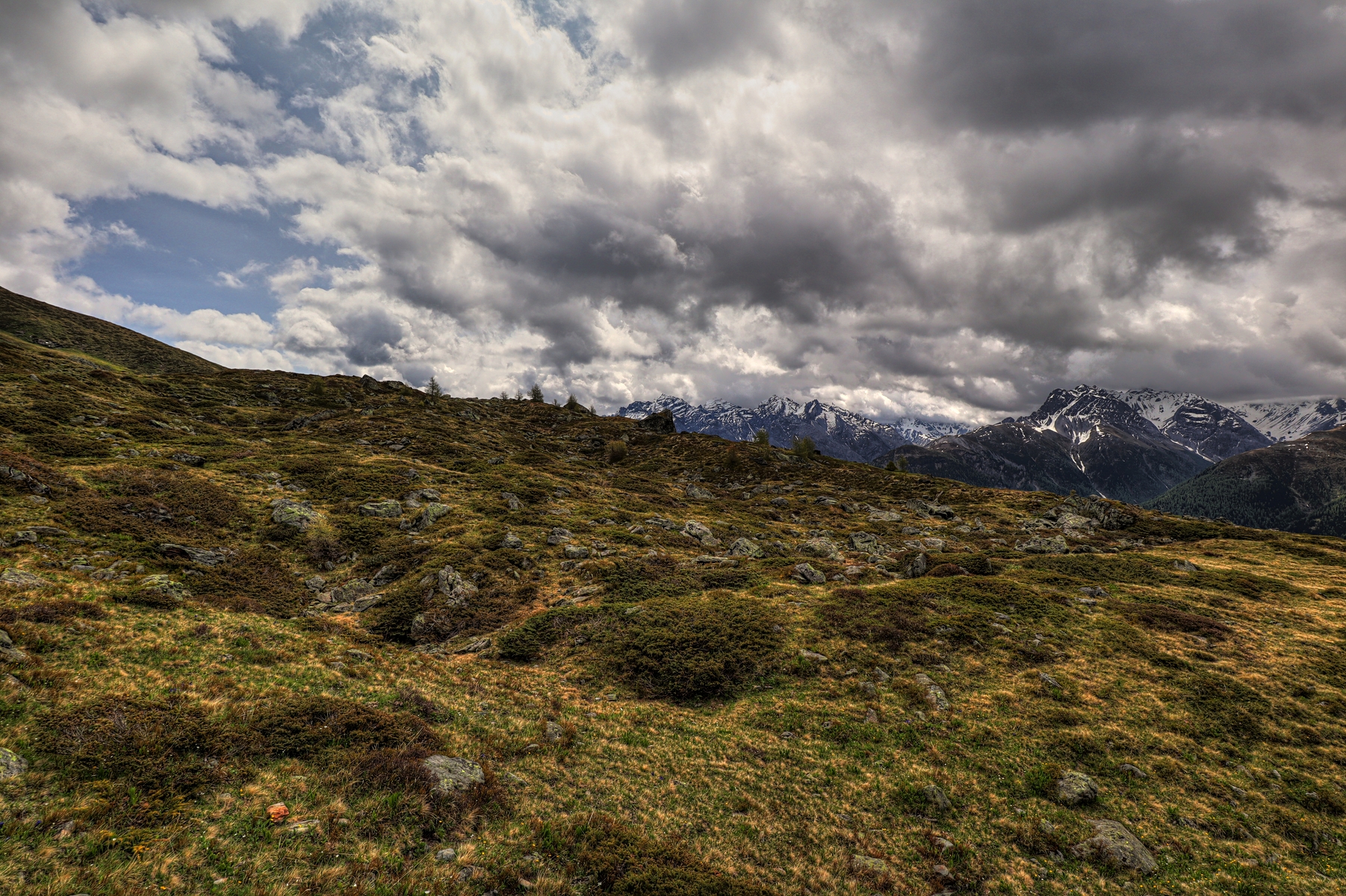 IMG_5817-hdr.jpg